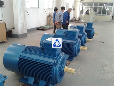 Switched reluctance motor